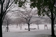 雪景色