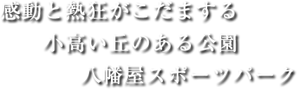 総面積65.7haの広さを誇る大阪を代表する総合公園