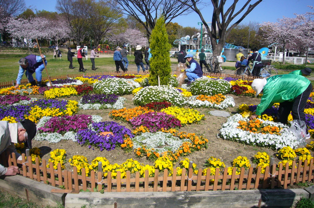 八幡屋公園円形花壇情報 八幡屋公園 八幡屋スポーツパークセンター